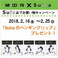 Suicaのペンギンクリップがもらえる!Suicaでお買い物キャンペーン