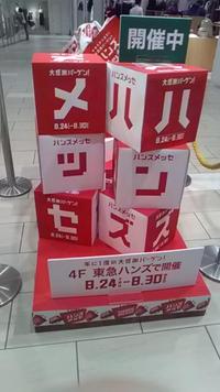 いよいよハンズメッセは8月30日まで!