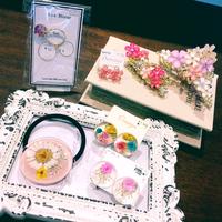 〜春物入荷のお知らせ〜