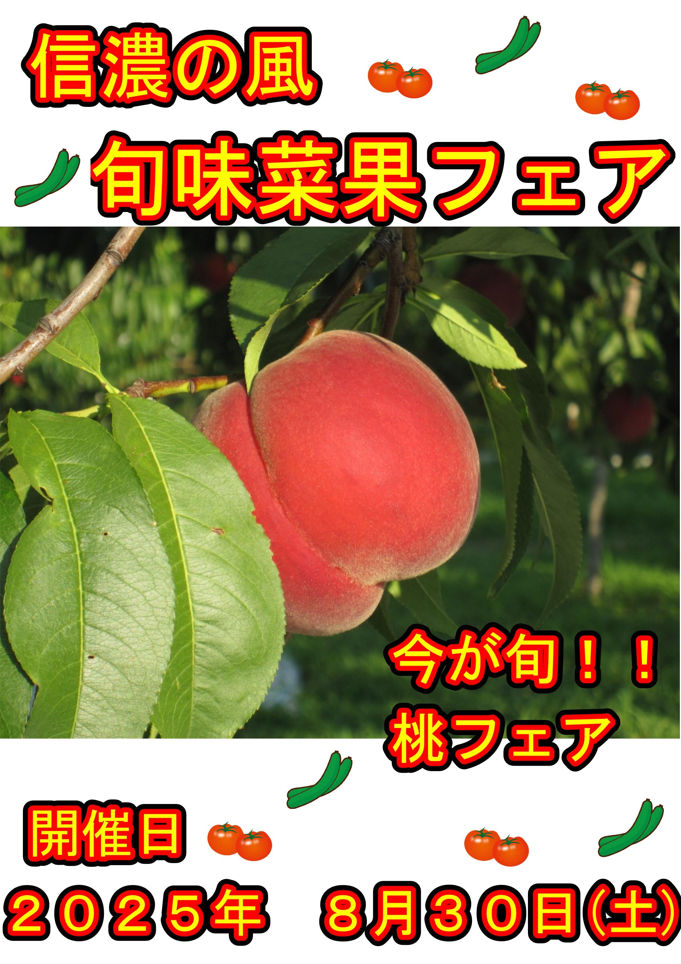 信濃の風」 - ステーションビルMIDORI（長野店・松本店）