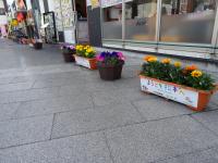信州花フェスタ２０１９開催中