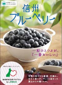 長野・松本で いただきッ 信州。~ブルーベリー&ジビエ~