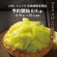 5HORN PREMIUM【メロンタルト】