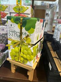 長野の雫