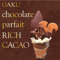 ~GAKU チョコレートパフェ リッチカカオ~