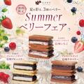 「Summer ベリーフェア」開催中