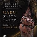 夏休み･お盆の帰省におすすめ！「プレミアムチョコソフト」