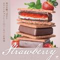 本日のおすすめ「チョコレートサンド 信州いちご」