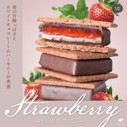 本日のおすすめ「チョコレートサンド 信州いちご」