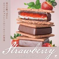 本日のおすすめ「チョコレートサンド 信州いちご」