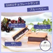 本日のおすすめ 「チョコレートサンド ブルーベリー」