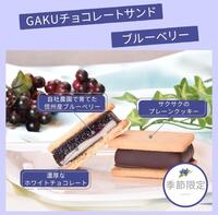 本日のおすすめ 「チョコレートサンド ブルーベリー」
