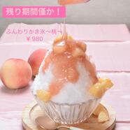かき氷販売期間残り僅かです！