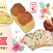 本日、浅野屋のパンを限定販売！