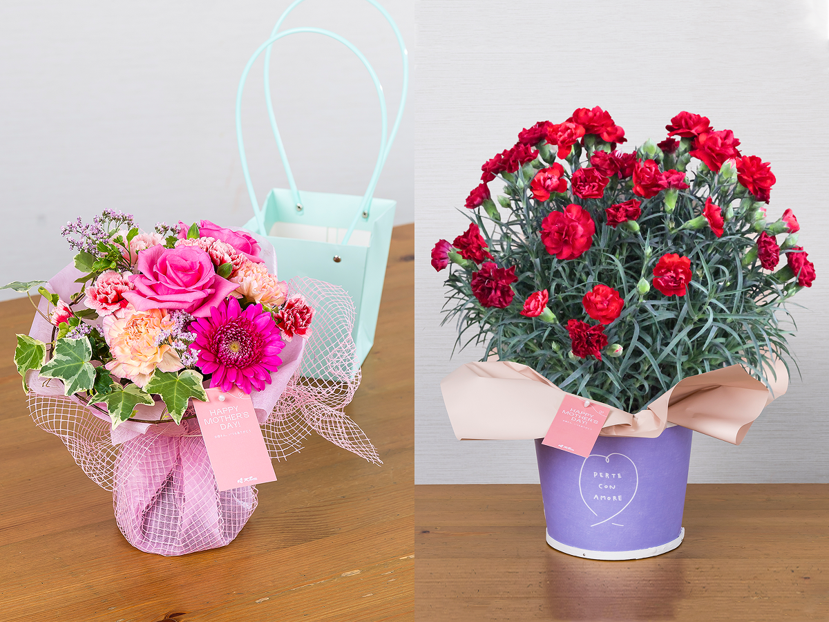 ヌボーラルブル