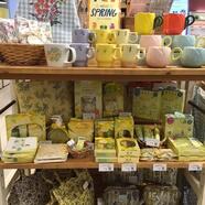 〜人気のミモザシリーズが入荷しました！〜