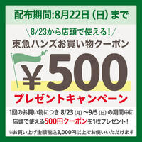 店頭でのご購入で8/23(月)から使える500円券プレゼント! ~8/22(日)