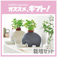 ~おすすめフェアのご案内~
