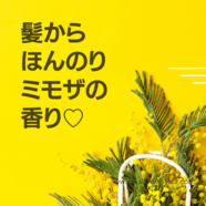髪からほんのりミモザの香り♡
