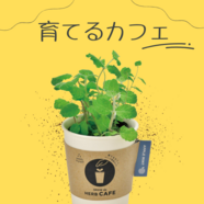 緑のある空間でホッと一息☆    