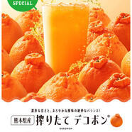 季節限定！熊本県産　搾りたてデコポン