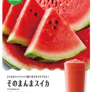  ＜季節限定＞『そのまんまスイカ』