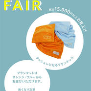 NOVELTY FAIR