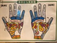 手って大事です♪