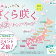 ★さくら咲く実施開始です★