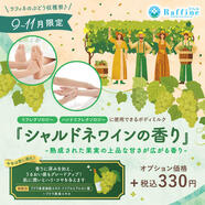 【予告】９月～１１月限定