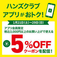 税込3,000円以上のお買い物に使える5%OFFクーポン配信中!